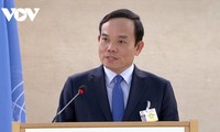 Vietnam supports UN motto "Respect-understanding, dialogue-cooperation, all human rights for all" 