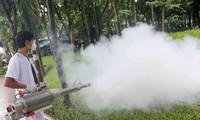 Vietnam aims to eliminate malaria by 2030