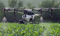 Hanoi promotes using drones in agriculture production