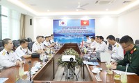 Vietnamese, RoK navies hold consultation