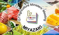 G7 Agriculture Ministers call for extension of Black Sea Grain Initiative to avoid global food crisis