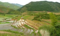 ADAM: fruit de la collaboration agricole entre Vietnamiens et Français