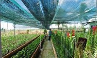 Elever la qualité des produits agricoles vietnamiens