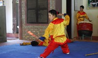 Démonstrations d'arts martiaux traditionnels à Hué