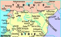 Premier anniversaire de la crise politique et des émeutes en Syrie