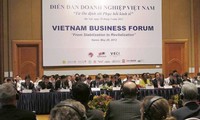 Forum d’entreprise du Vietnam 2012 