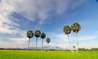 Les exploitations de grande envergure,  une réussite à An Giang