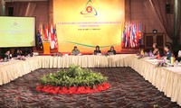Les pays de l'ASEAN partagent leurs expériences dans la gestion des catastrophes