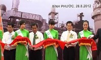 Le Vietnam inaugure la plus grande usine de traitement de bois d'hévéa d'Asie