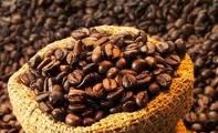 La production et l'exportation du café du Vietnam