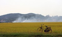 Nouvelle ruralité : la province de Bac Ninh a pris un départ canon