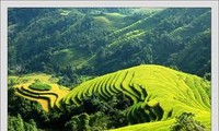 Ha Giang : quand « nouvelle ruralité » rime avec « tourisme communautaire »
