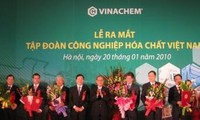 Projet de restructuration du groupe de l'industrie chimique du Vietnam