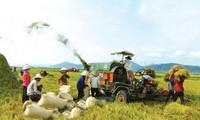 L’Agriculture, pilier de l’économie vietnamienne en 2012