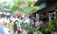 Le marché Hàng, une originalité culturelle de Hai Phong