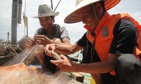 Etre pêcheur pendant un jour à Halong