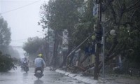 Le Typhon Nari a touché  le Centre Vietnam