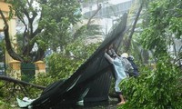 Le Centre répare les conséquences du typhon Nari
