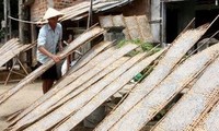  La JICA aide Quang Nam à développer l'agriculture et l'artisanat