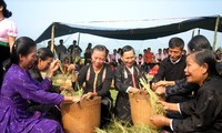 La fête du nouveau riz chez les Thaï
