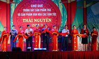 Coup d’envoi du deuxième  festival du thé de Thai Nguyen