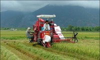 L’agriculture vietnamienne à l’heure de l’intégration: opportunités et défis