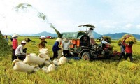 Accentuer la restructuration agricole du Vietnam en 2013