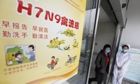 Un nouveau cas humain de H7N9 à Shenzhen