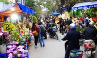 Les marchés aux fleurs de Hanoi