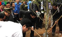 Les dirigeants vietnamiens lancent la fête de plantation d’arbre printanière dans les localités