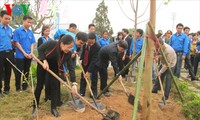 La traditionnelle fête de plantation d’arbres lancée dans plusieurs localités