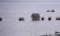 Grande-Bretagne: la Tamise en crue, les inondations s'étendent