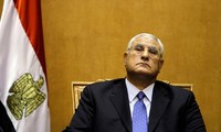 L’Egypte réforme le Conseil Suprême des Forces Armées 