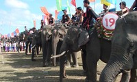 Coup d’envoi de la fête des éléphants de Dak Lak
