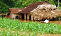 Séminaire sur les politiques et lois sur l’adaptation au changement climatique au Vietnam