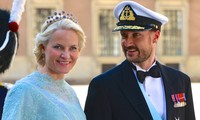  Le prince héritier norvégien termine avec succès sa visite officielle au Vietnam