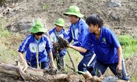 Le mois de la jeunesse 2014 : de riches activités organisées dans l’ensemble du Vietnam