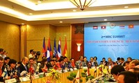 Le Vietnam participe activement aux activités du comité international du fleuve Mékong