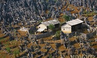 Hausse du nombre des visiteurs au parc géologique mondial du plateau rocheux de Dong Van 