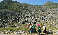 Hausse du nombre des visiteurs au parc géologique mondial du plateau rocheux de Dong Van 
