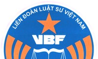 La fédération des avocats vietnamiens protestent contre la violation chinoise
