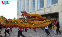 Journée de la culture vietnamienne dans la province de Vladimir, en Russie