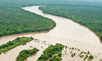 Adaptation aux changements climatiques dans le delta du Mékong