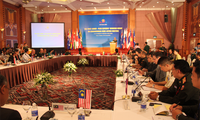 Le Vietnam soutient la coopération internationale en termes de déminage 