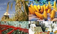 Plus 11% pour les exportations de produits agricoles, sylvicoles et aquacoles   