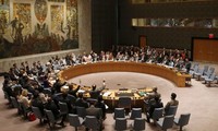 L’ONU adopte une résolution permettant l'entrée d'aide humanitaire en Syrie