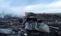 Crash du MH17 : réaction de la communauté internationale