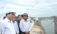 Vu Van Ninh en visite de travail à Binh Dinh