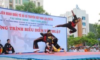 Clôture du 5è Festival international des arts martiaux Vietnam 2014