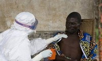 Virus Ebola : réunion d'urgence de l'OMS 